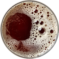 german-black-lager