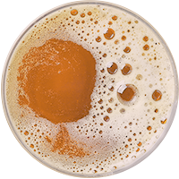 belgian-blond-ale
