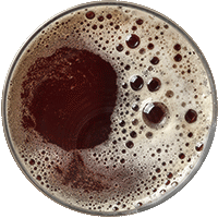 maibock